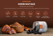 Load image into Gallery viewer, HerbVantage Complex Mushroom Gummies